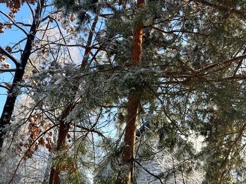 ділянка за адресою Грушевського вул., 8