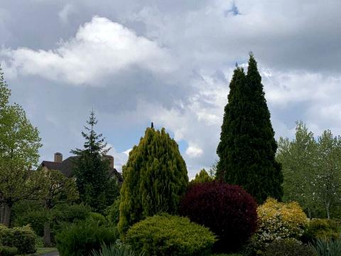 ділянка за адресою Набережно-Лугова