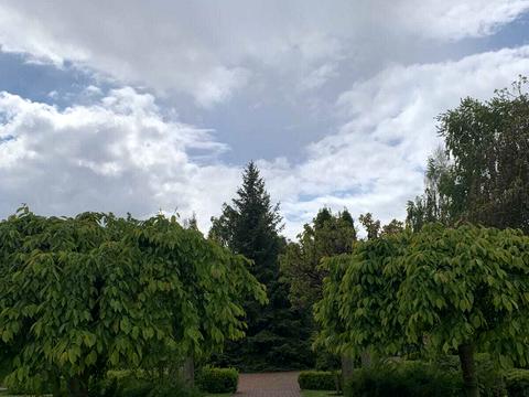 ділянка за адресою Набережно-Лугова