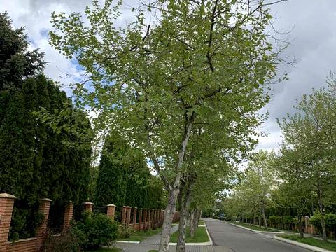 ділянка за адресою Набережно-Лугова