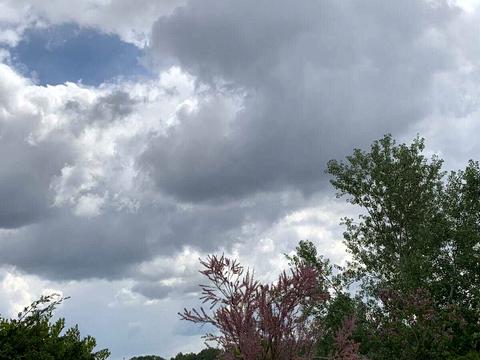 ділянка за адресою Набережно-Лугова