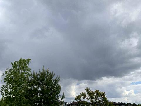 ділянка за адресою Набережно-Лугова