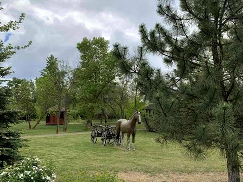 ділянка за адресою Набережно-Лугова