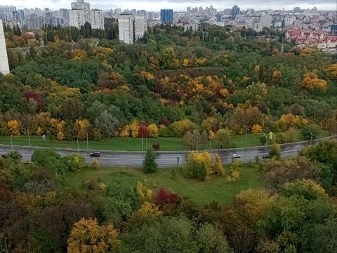 квартира по адресу Николая Амосова ул., 2