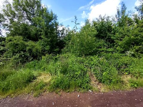 участок по адресу Виноградна