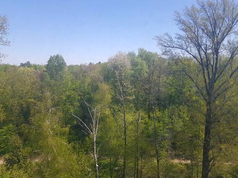 квартира за адресою Академіка Глушкова просп., 9-Є