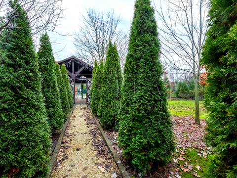 будинок за адресою с. Бобриця, Дністровська