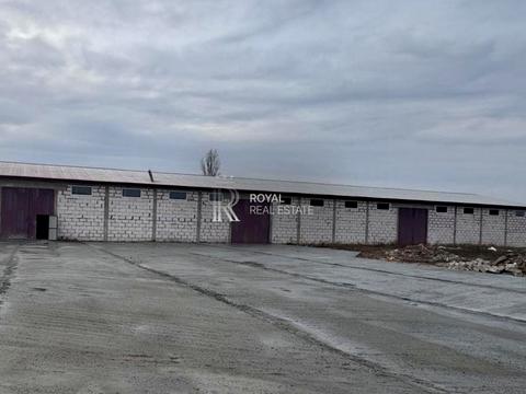 коммерческая по адресу лебедина, 1