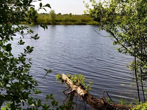 участок по адресу 