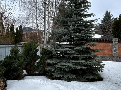 будинок за адресою Катерини Білокур вул., 13