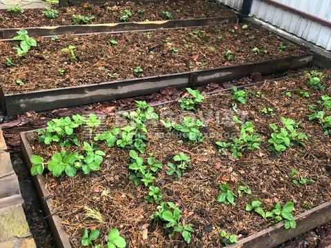 будинок за адресою Вишнева