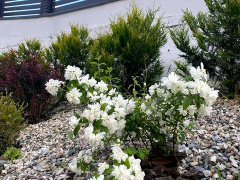 будинок за адресою Озерна