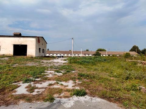 комерційна за адресою Центральна, 165/Б