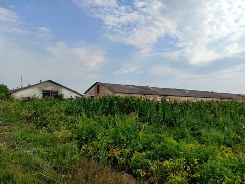 комерційна за адресою Центральна, 165/Б