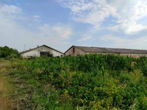 комерційна за адресою Центральна, 165/Б