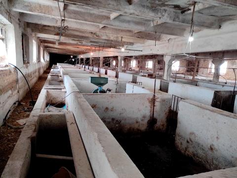 комерційна за адресою Центральна, 165/Б