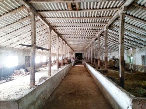 комерційна за адресою Центральна, 165/Б