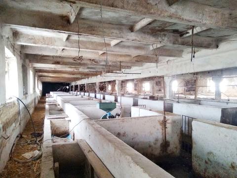 комерційна за адресою Центральна, 165/Б