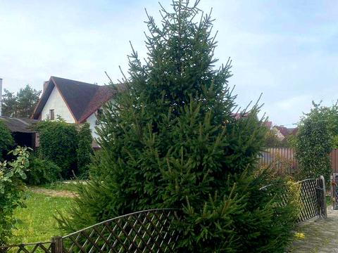 будинок за адресою Київська вул.