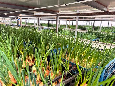 комерційна за адресою низова, 100