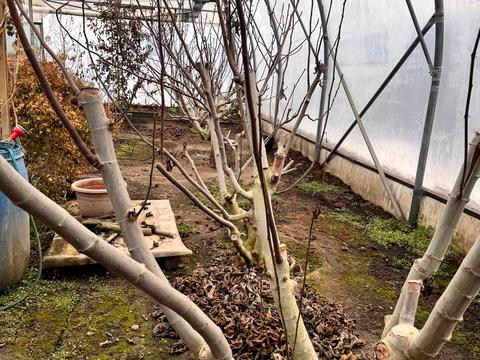 комерційна за адресою низова, 100