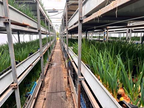 комерційна за адресою низова, 100