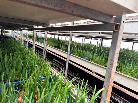 комерційна за адресою низова, 100