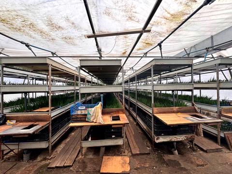 комерційна за адресою низова, 100