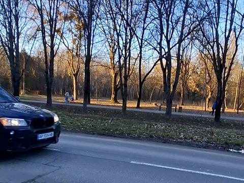 квартира за адресою Анатолія Тегзи вул. (Возз'єднання), 17