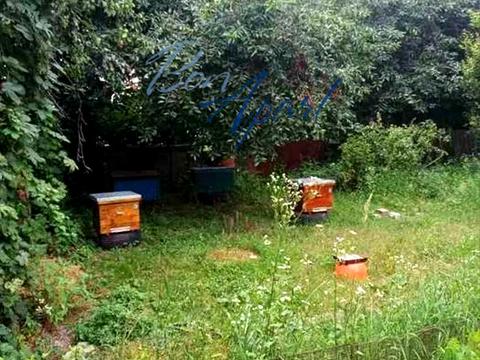 будинок за адресою Армії УНР вул. (Таращанська), 5