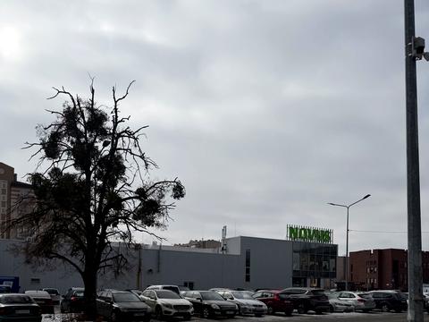 квартира по адресу Метрологическая ул., 9-В