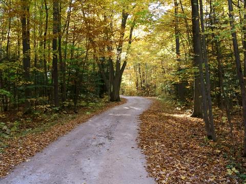 квартира за адресою Лісовий просп., 17-А