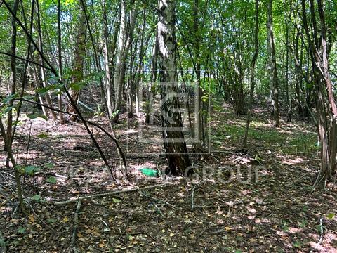 участок по адресу 