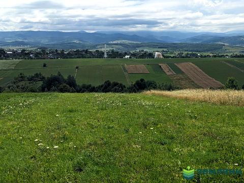 ділянка за адресою кобилянської