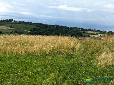 ділянка за адресою кобилянської