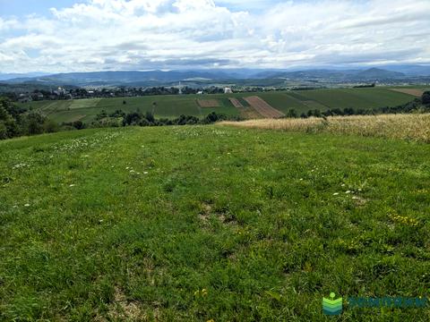 ділянка за адресою кобилянської