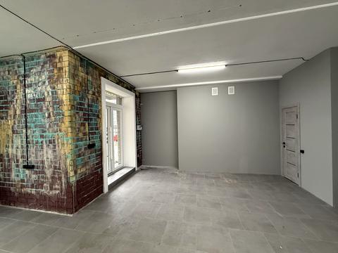 комерційна за адресою Добровольчих Батальйонів вул. (Червоноармійська), 203/2