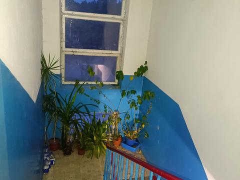 квартира по адресу Светлая ул., 6-А