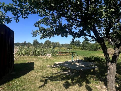 ділянка за адресою с. Шевченкове, Кош