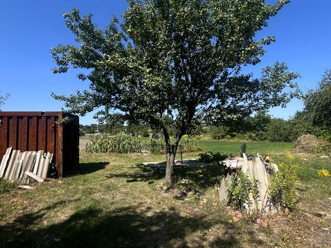 ділянка за адресою с. Шевченкове, Кош