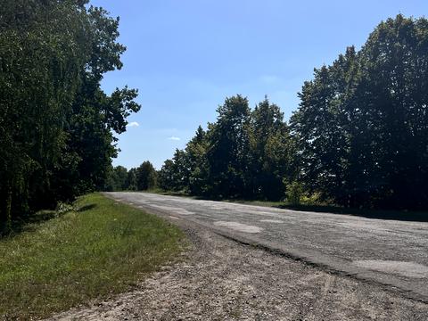 ділянка за адресою с. Шевченкове, Кош