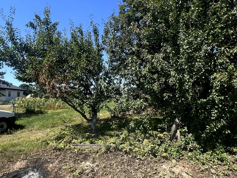 ділянка за адресою с. Шевченкове, Кош