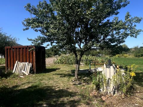 ділянка за адресою с. Шевченкове, Кош