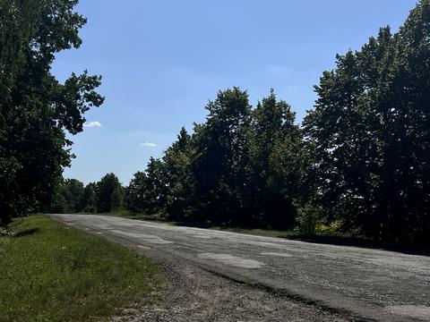 ділянка за адресою с. Шевченкове, Кош