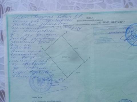 ділянка за адресою с. Шевченкове, Кош