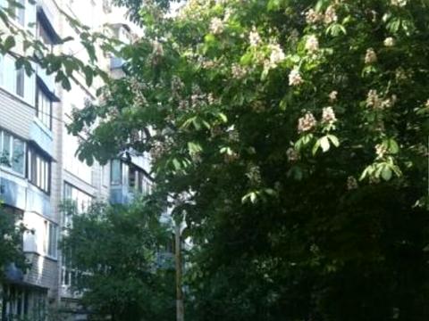 квартира за адресою Гусовського вул., 2