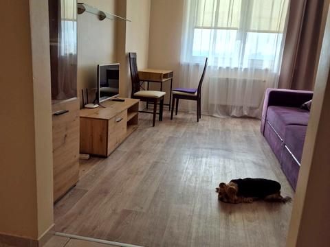 квартира за адресою Юрія Поправки вул. (Миколи Лебедєва), 14