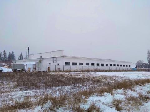 комерційна за адресою Дружби, 52