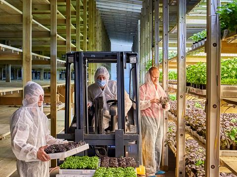 комерційна за адресою Дружби, 52