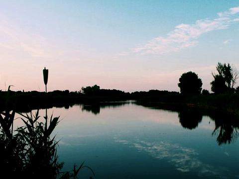 дом по адресу п. Садовое, немає